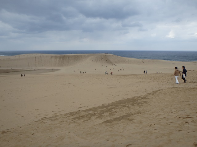 砂丘２