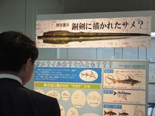視察1
