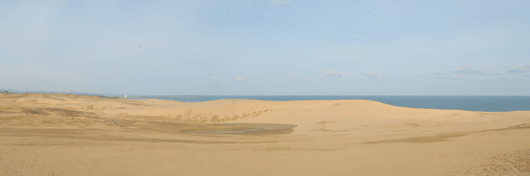 「馬の背」の風景－風紋が見えます