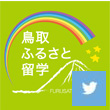 高等学校課Xアイコン