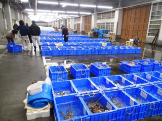 漁獲状況
