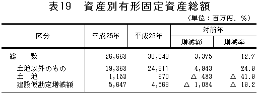 表19「資産別有形固定資産総額」