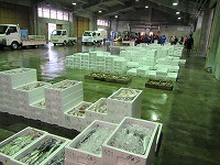 支所市場の様子