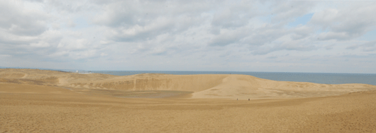 「馬の背」の風景－湿った砂と乾いた砂
