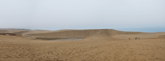 「馬の背」の風景