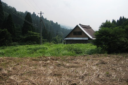 田畑が放置され荒れてしまった様子の写真