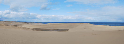 「馬の背」の風景