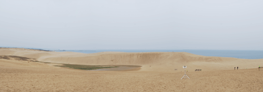 「馬の背」の風景－穏やかな陽気です