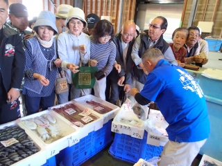 夏泊定置網の朝市