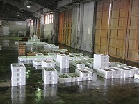 市場の様子