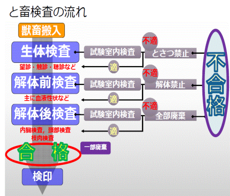 とちく検査のフロー図