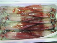 白いか
