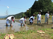 田植式1