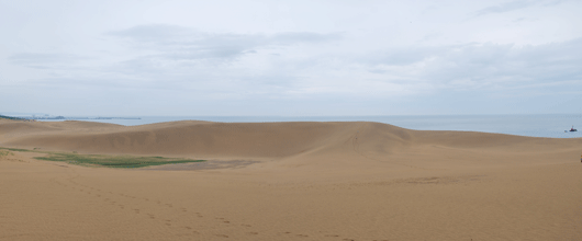 馬の背の風景