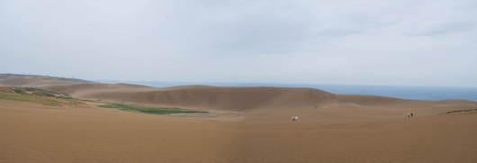 「馬の背」の風景－雨の砂丘
