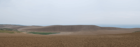 「馬の背」の風景－雨の砂丘