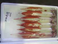 鳥取墨なし白イカ