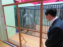 視察2