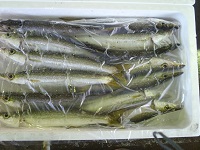 カマス