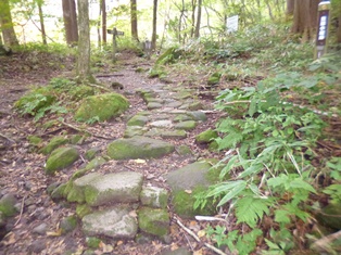 中国自然歩道の様子