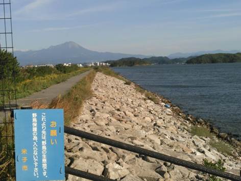 水鳥公園