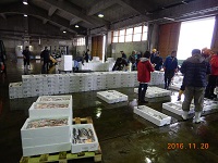 支所市場