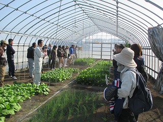 野菜の圃場案内