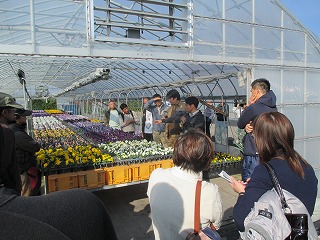 花きの圃場案内