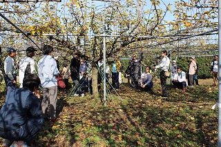果樹の圃場案内