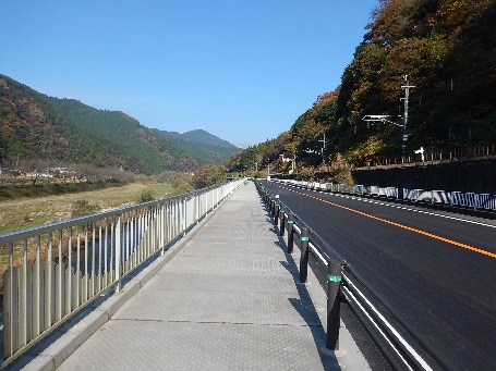 張出歩道からの画像