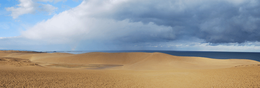 「馬の背」の風景－雨上がりの砂丘