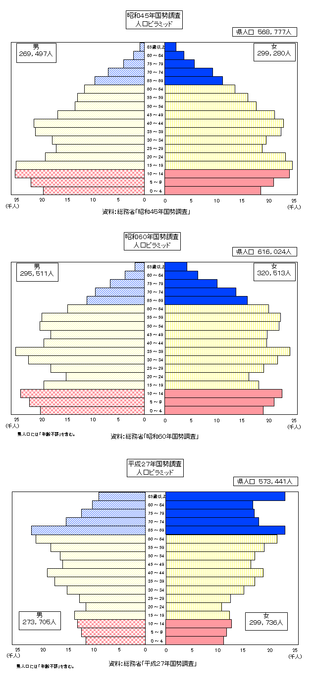 人口ピラミッドのグラフ