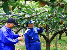 視察7