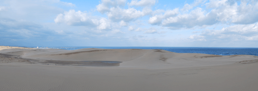 「馬の背」の風景－綺麗な風紋