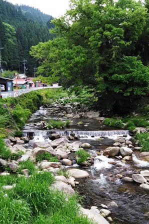 かつて筏流しが行われた智頭町内の北股川流域の写真