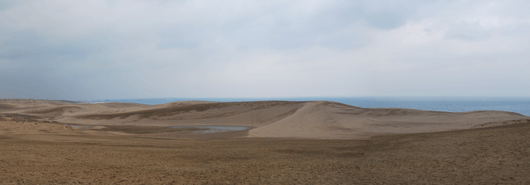 「馬の背」の風景－ひとけのない砂丘