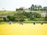 関金温泉と廃線跡コース