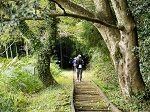 関金温泉と廃線跡コース