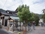 日本遺産を巡る道ウォーク