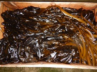 ワカメ