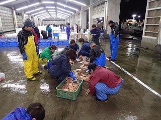 自船ブランドタグ付け