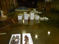 沿岸もの水揚げ