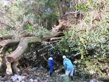 視察1