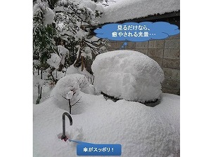 2月11日大雪の様子