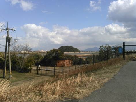 水鳥公園付近