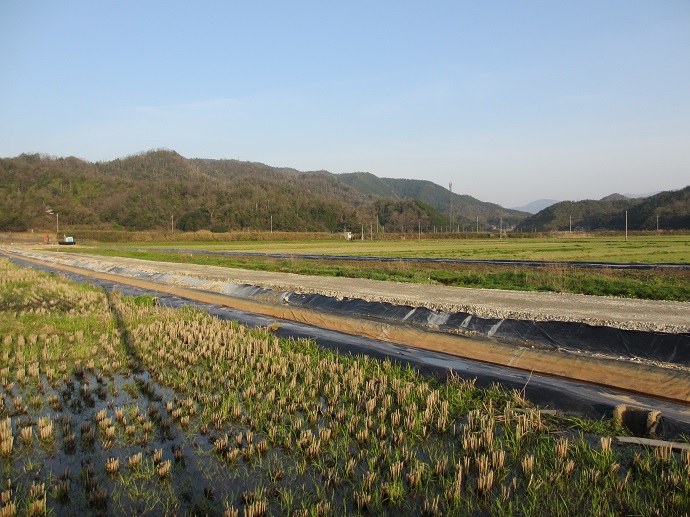 浦富高架橋