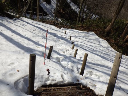 自然歩道の様子
