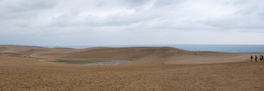 「馬の背」の風景－しま模様