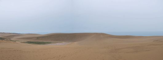 「馬の背」の風景－雨に濡れる砂丘