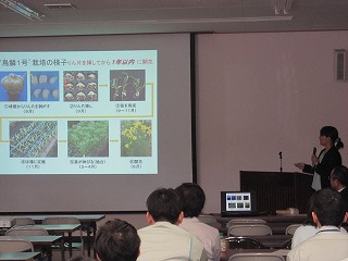 鳥鱗１号の紹介